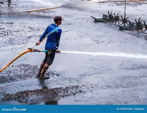 cleaning mud Angola|OCEANBIZZ.